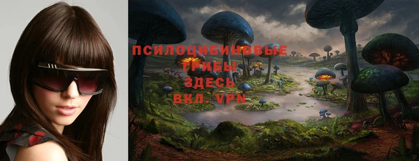 прущая мука Алзамай