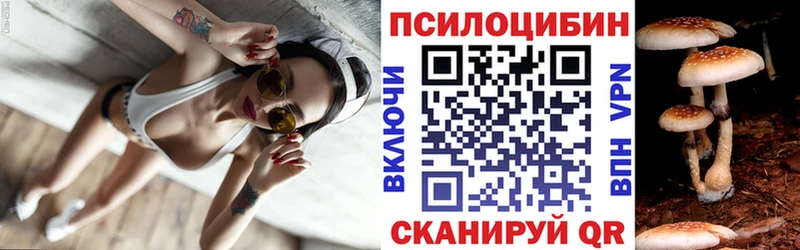 где продают   Данков  Галлюциногенные грибы MAGIC MUSHROOMS 